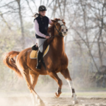 Hour Private Lesson Package 12 (twelve lessons)