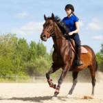 Hour Private Lesson Package 4 (four lessons)