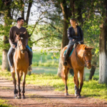 Couples Ride Lesson Package of 12