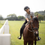 Hour Semi Private Lesson Package 12 (twelve lessons)