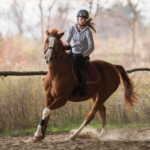 Hour Semi Private Lesson Package 4 (four lessons)