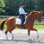 Hour Semi Private Lesson (single)